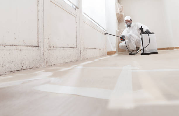 24/7 Emergency Mold Remediation experts in Kingston, WA